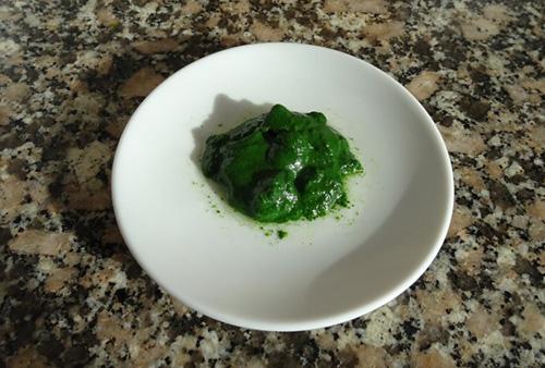 DIY chlorophyll extract - Step 11