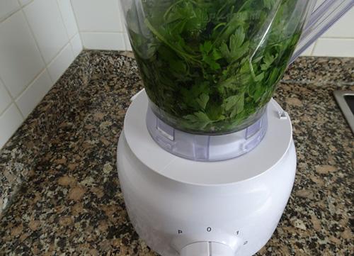 DIY chlorophyll extract - Step 2