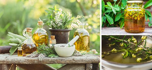 How to Make Infused Oil for Your Herbal Apothecary - Cover