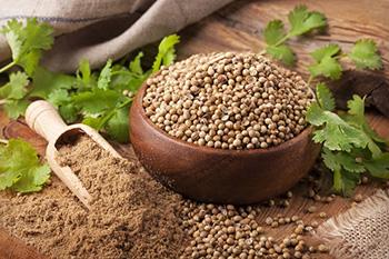 How to Make Quinine at Home for the Immune System - Corriander