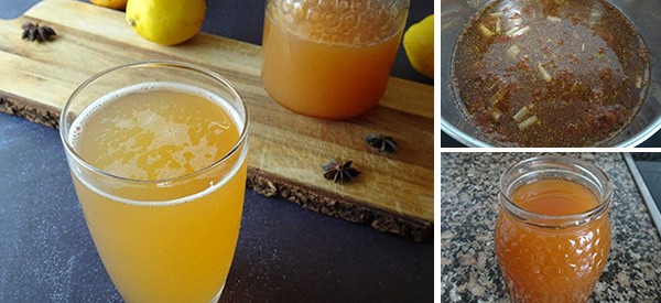 how-to-make-quinine-at-home-for-the-immune-system-the-lost-herbs