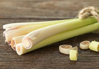 How to Make Quinine at Home for the Immune System - Lemongrass
