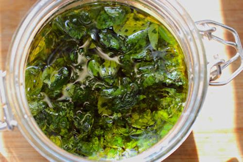 The Super Herb That Destroys Candida - The Lost Herbs