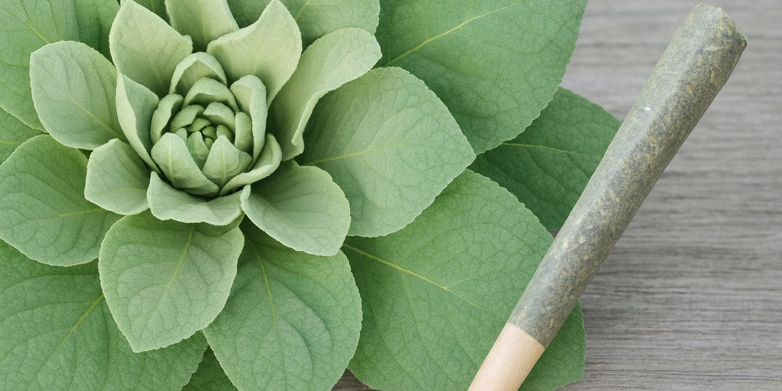 can you smoke mullein