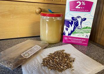 Milk Thistle - Ingredients