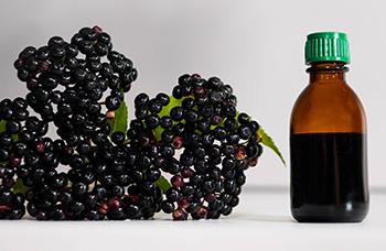 My #1 Go-To Herb for Avoiding Influenza, Colds and Severe Respiratory Illness - Elderberry tincture