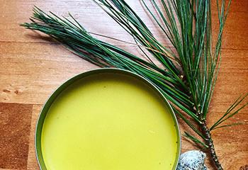 20 Uses and Benefits of Pine Pollen - Salve