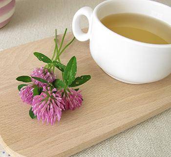 Blood Cleansing Herbs - Red Clover Tea