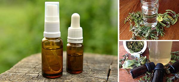 Rosemary and Sage Sore Throat Spray - Cover