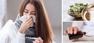 Soothing Elixir for Cold and Flu Season - Cover