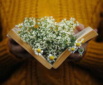 The Key to Handling Stress - Chamomile