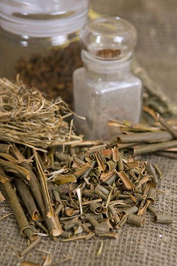 Willow Extract