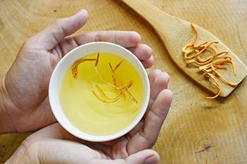 Best Herbs and Foods to Fight Adrenal Fatigue - Cordyceps