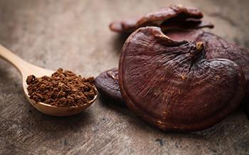 Best Herbs and Foods to Fight Adrenal Fatigue - Reishi Mushroom