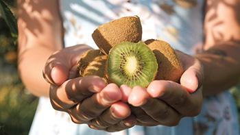 The Superfruit You Should Eat Every Day - Kiwi