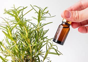 Use This Recipe if You're Losing Hair -Rosemary oil