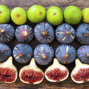 Why You Should Add Figs to Your Daily Diet - Varieties
