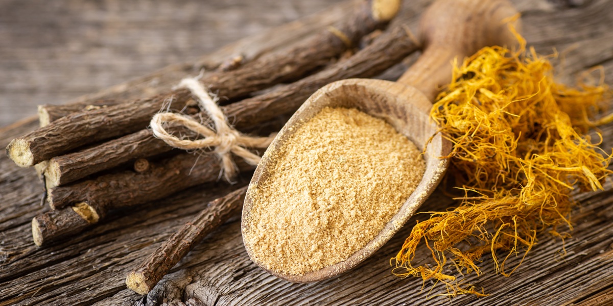 Licorice root, licorice fiber and powder in spoon on rustic background ( glycyrrhiza glabra )