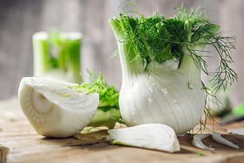 12 Stomach Soothing Herbs - Fennel