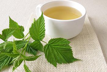 12 Stomach Soothing Herbs - Red Raspberry leaves