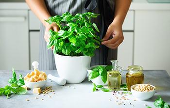 Foods and Herbs For Heavy Metal Detox - Basil