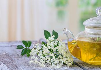 How To Quickly Cool Any Fever - Elderflower