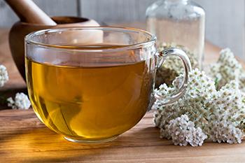 How To Quickly Cool Any Fever - Yarrow Tea