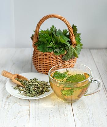 Nettle - Natural Remedies