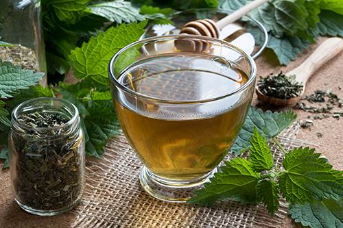 Seasonal Allergy Stinging Nettle Tea