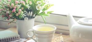 Spring Tea Recipe - The Lost Herbs