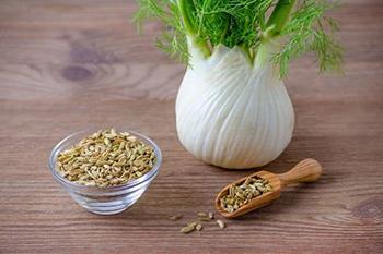 10 Time Tested Remedies - Fennel