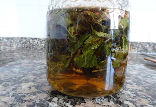 DIY Spring Fever Tincture- alcohol over leaves