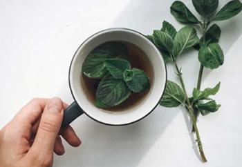 Drink These to Reduce Bloating - Peppermint