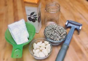 How To Make Mullein and Garlic Oil For Earaches - Ingredients