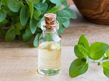 Marjoram - Herbal Remedies Oils