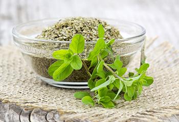 Marjoram - Herbal Remedies
