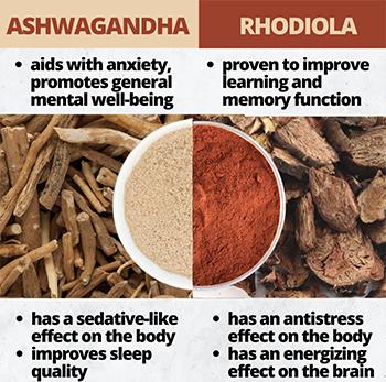 Rhodiola and Ashwagandha A Power Duo