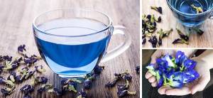 The Anti-Inflammatory Blue Tea =- Cover