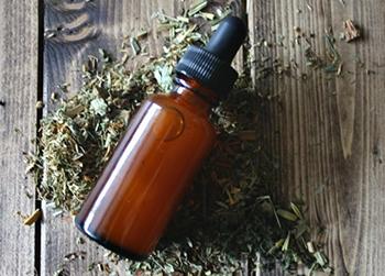 These Herbs Will Relieve Your Anxiety in No-Time - Catnip Tincture