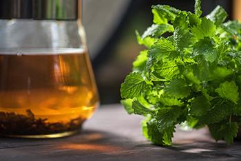 These Herbs Will Relieve Your Anxiety in No-Time - Lemon Balm