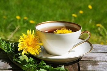 10 Teas You Should Avoid Drinking Before Bedtime-dandelion tea
