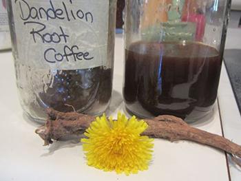 20. Dandelion Coffee