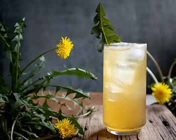 49. Dandelion Lemonade