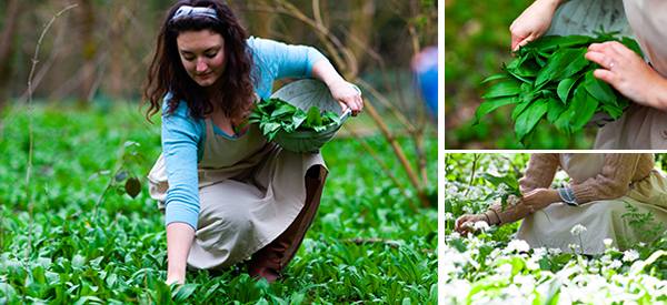 Forage These Spring Edibles Before They’re All Gone