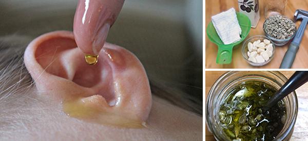 How To Make Mullein and Garlic Oil For Earaches