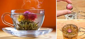 How to Make Medicinal Blooming Tea - Cover