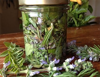 Natural Antibiotic in a Jar-herbs in jar 1