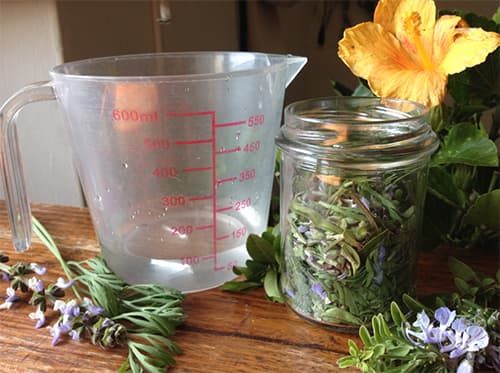 Natural Antibiotic in a Jar-herbs in jar 2