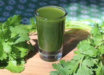 Herbal Summer Survival Kit - cilantro Juice