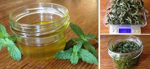 How To Make Peppermint Oil At Home - cover